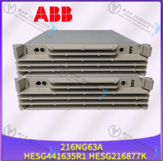 ABB  HESG216875/K
