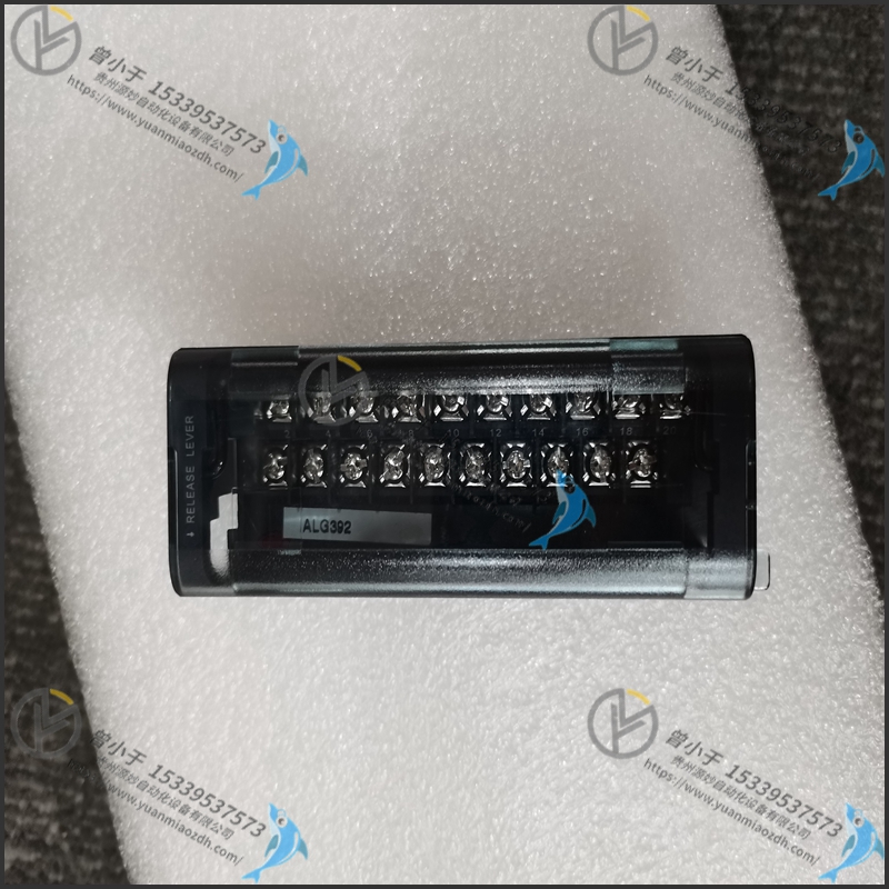 GE  IC830M62H-BK9NCA00 模块卡件 物美价优