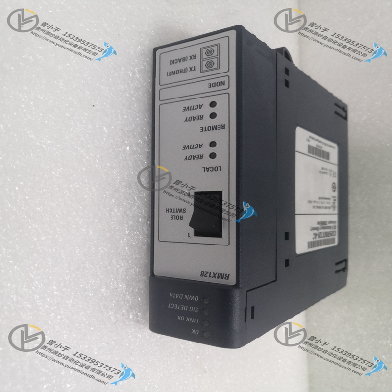 GE IC866-0300-603-50 欧洲进口 质量保证