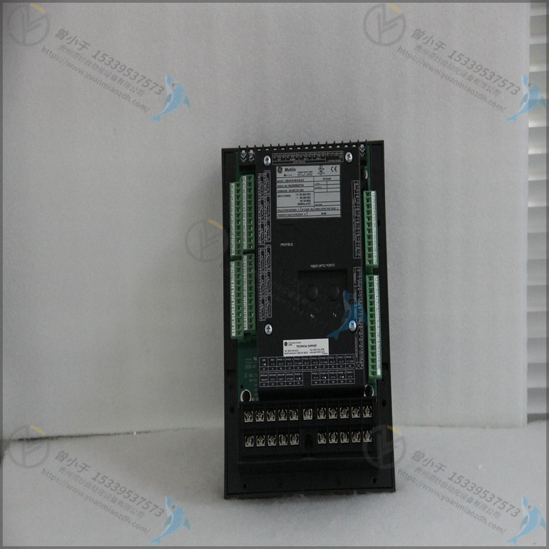 GE 369-LO-0-M-F-E-0-0 控制器 卡件
