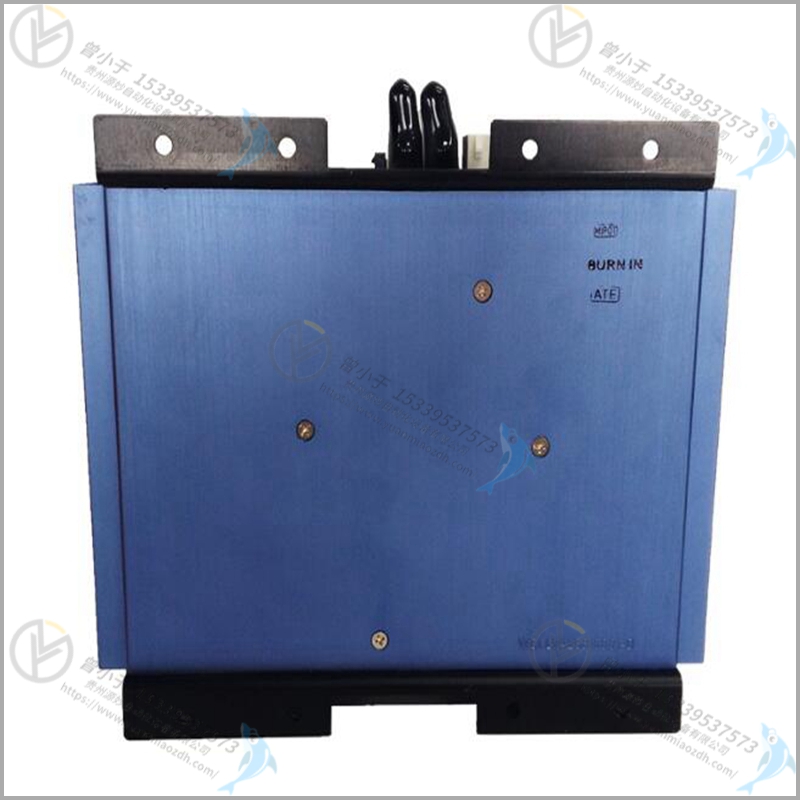 Foxboro-福克斯波罗 P0916BT 输入输出模块