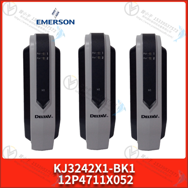 Emerson-艾默生   2147A48G11   系统备件  PLC模块