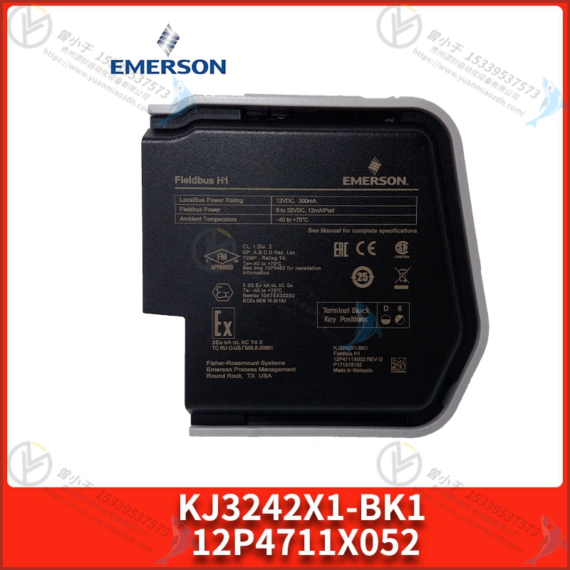 Emerson-艾默生  3A99166G0   系统备件  PLC模块
