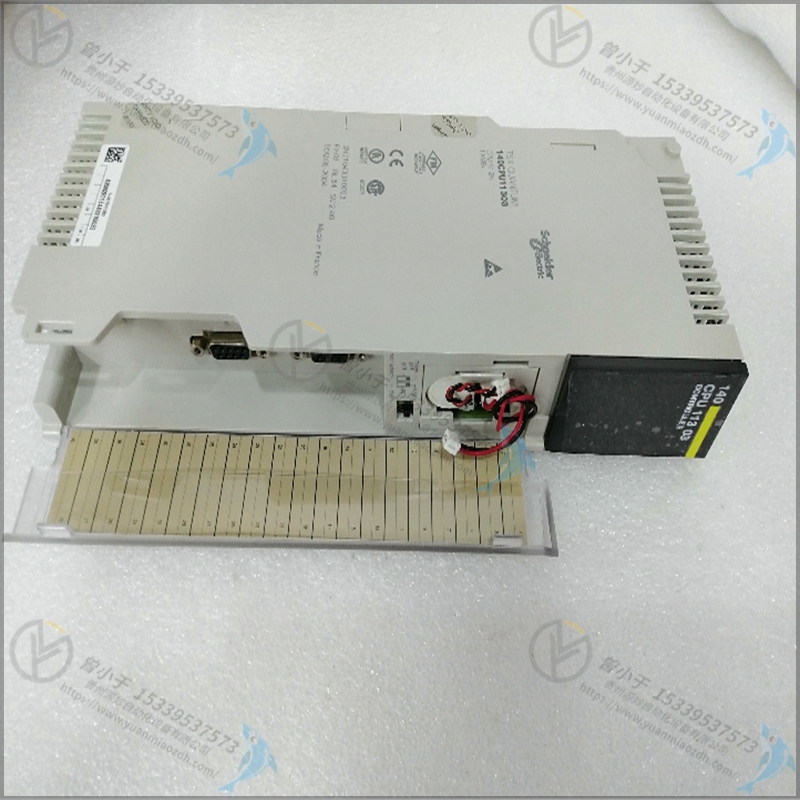 Schneider-施耐德    AS-BVIC-224   输入输出模块