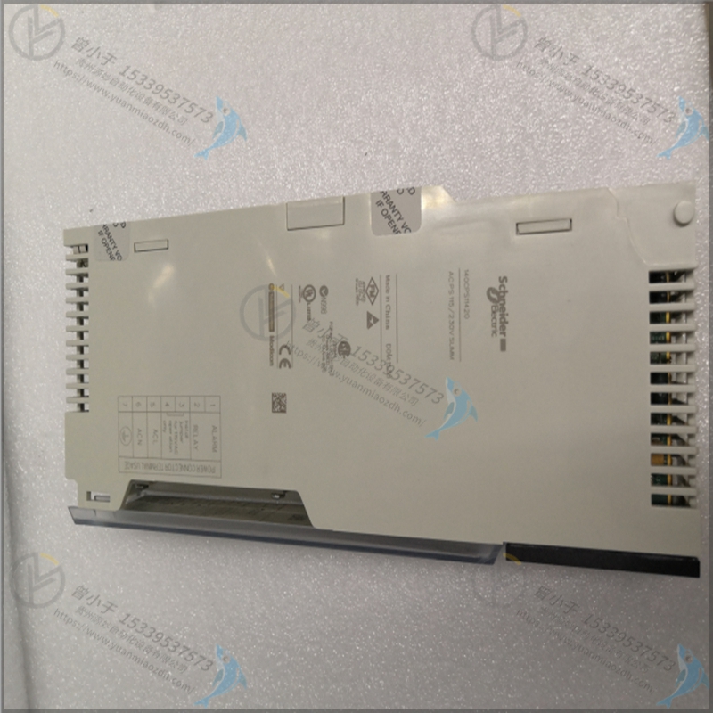 Schneider-施耐德 VDIX2836 PLC工控模块